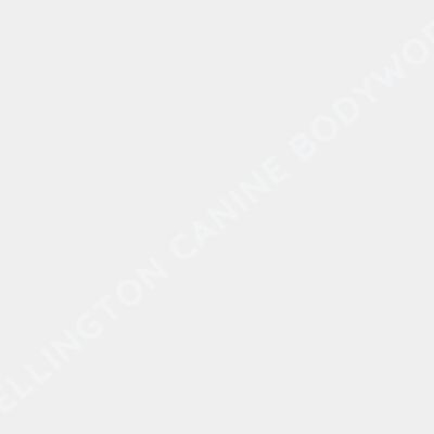 WCB Logo  5  Thumbnail